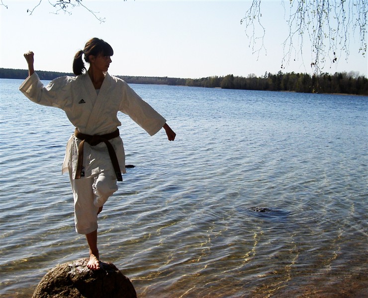 Largen_karate052.JPG